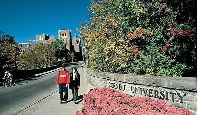 Cornell University's Dyson School is among the best in the world for undergraduate business
