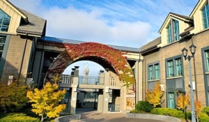 UC-Berkeley's Haas School of Business