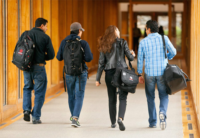 Students at Cornell University