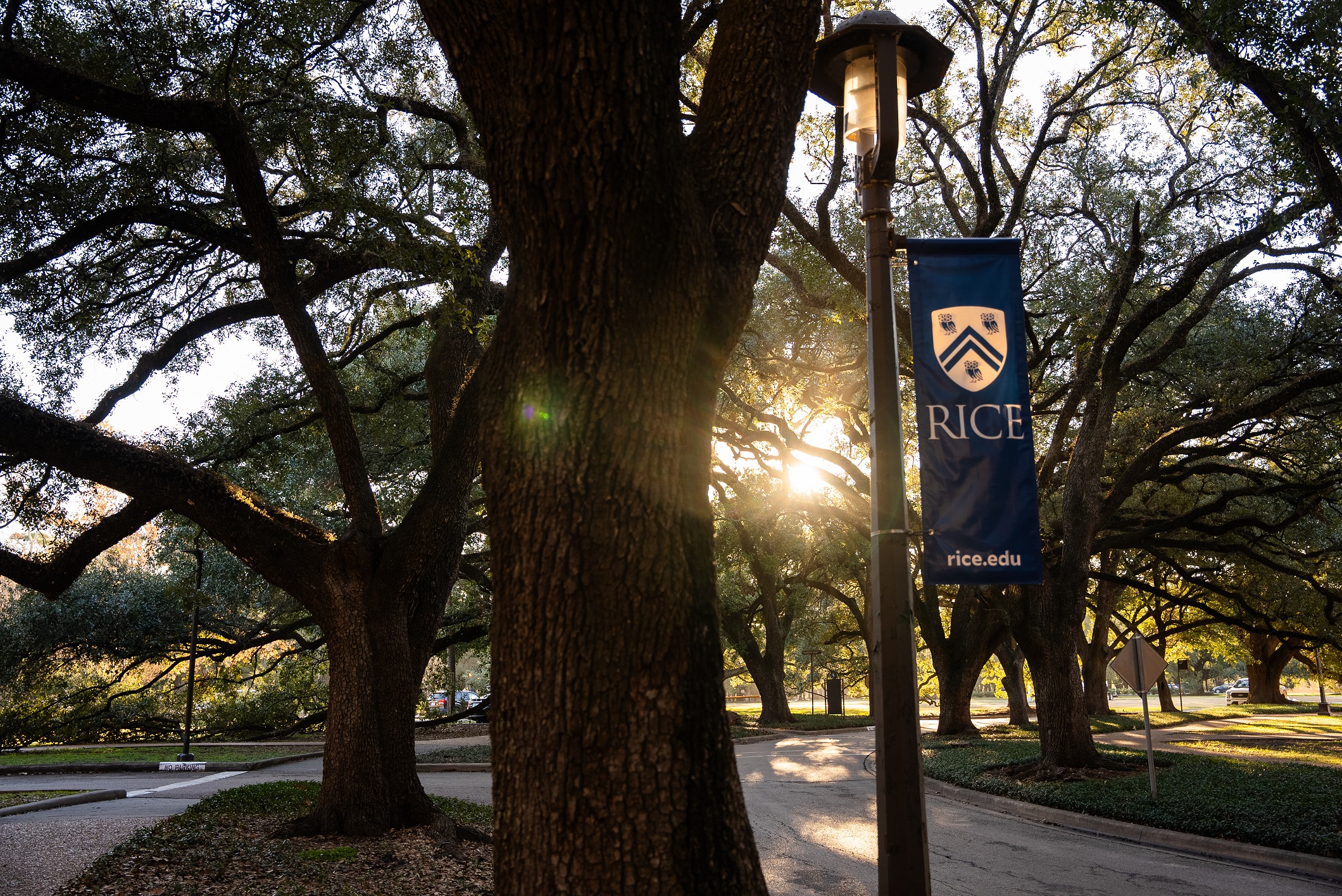 Rice Widens Free-Tuition Promise For Prospective Business Majors